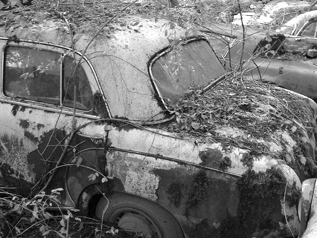 Autofriedhof - 154.JPG - Historischer Autofriedhof,    Gürbetal (CH)